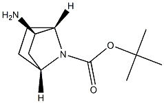 tert-butyl (1R,3R,4S)-3-amino-7-azabicyclo[2.2.1]heptane-7-carboxylate