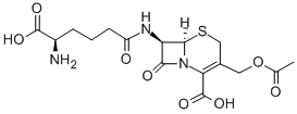 7-(5-amino-5-carboxyvaleramido)cephalosporanic acid